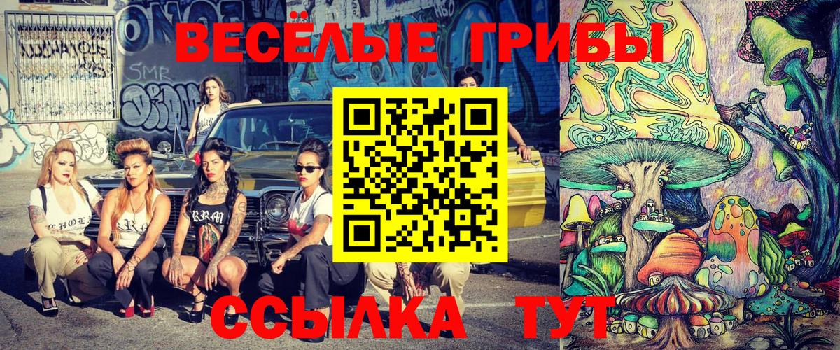 Псилоцибиновые грибы мицелий Троицк